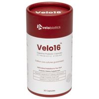 Velo16 Probiotic Digestive Capsules 